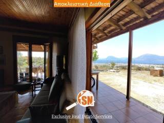 Ύπαρξη ανθρώπου