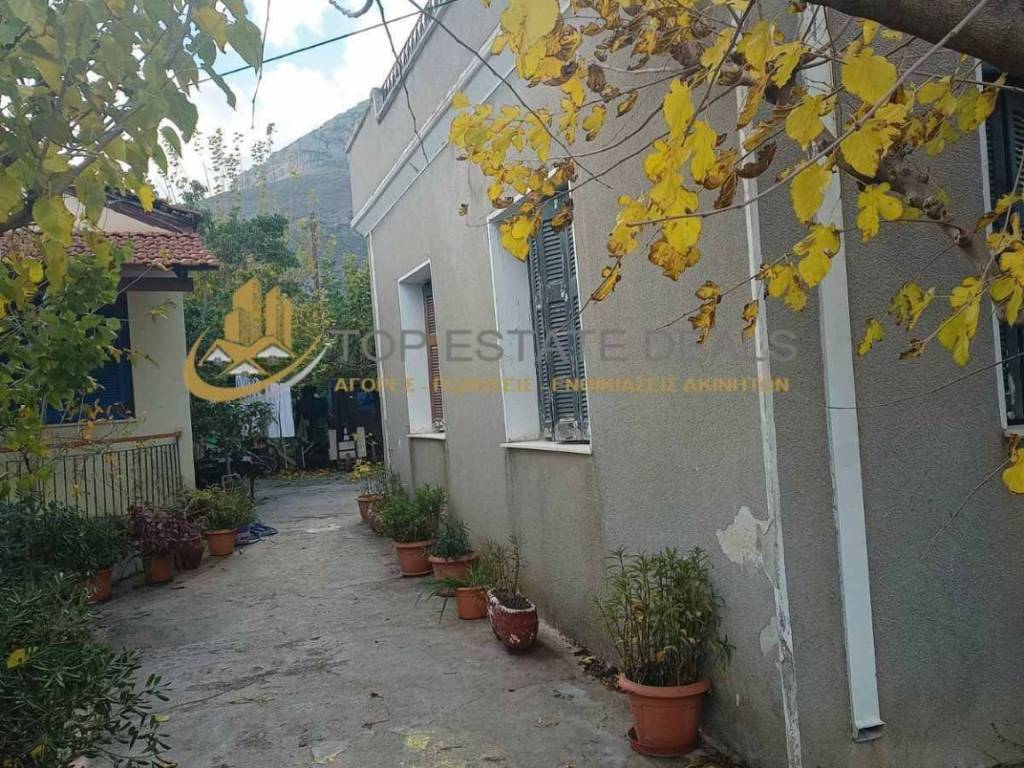 οικοπεδικός χώρος οικίας