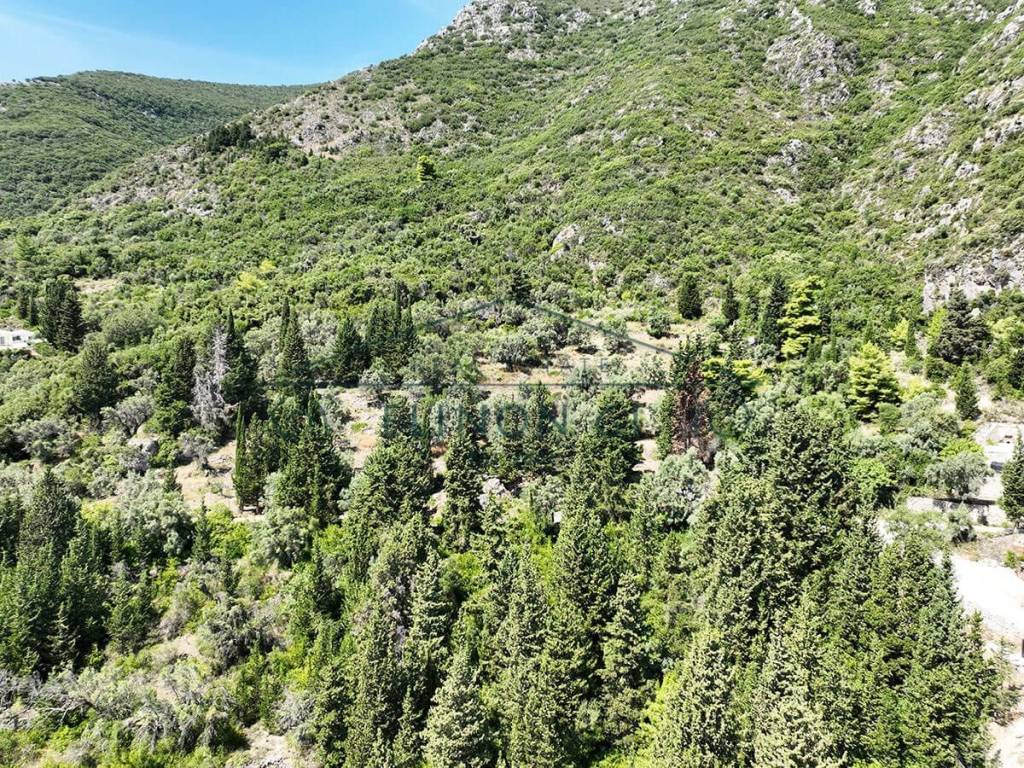 Το αγροτεμάχιο από ψηλά