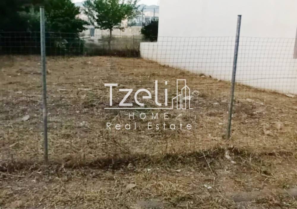 Άποψη οικοπέδου