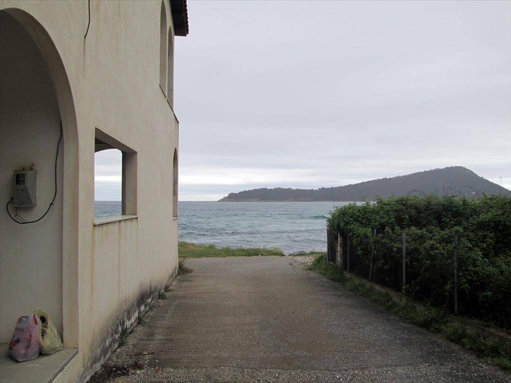 Building - Grekodom 3834|45138