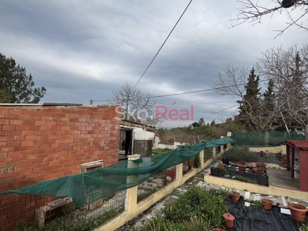 Άποψη χώρου