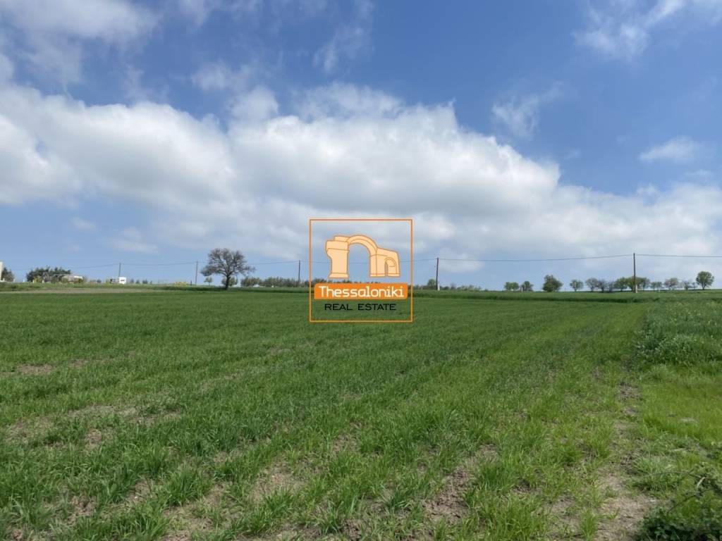 Επανομή, Αγροτεμάχιο, 6.901 τ.μ.