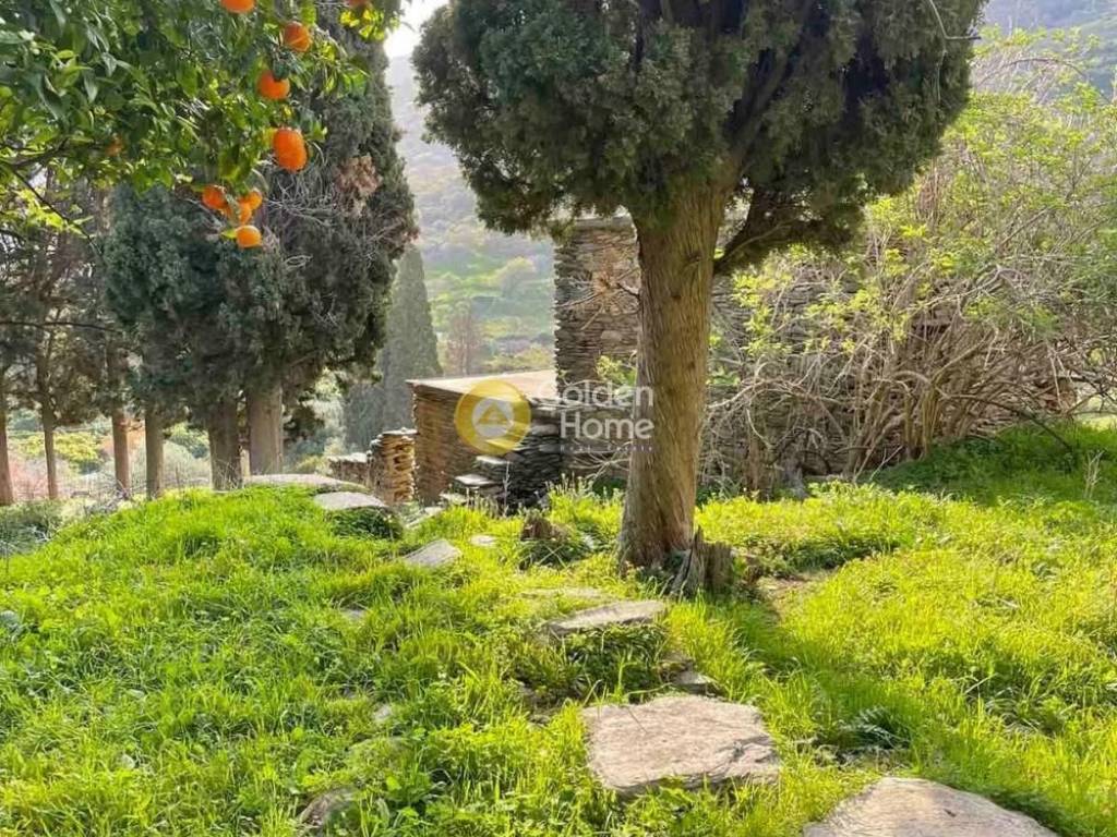 Εξωτερικός Χώρος