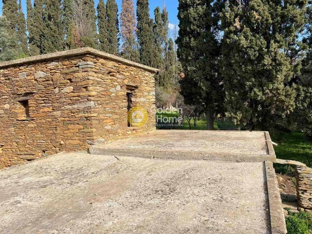 Εξωτερικός Χώρος