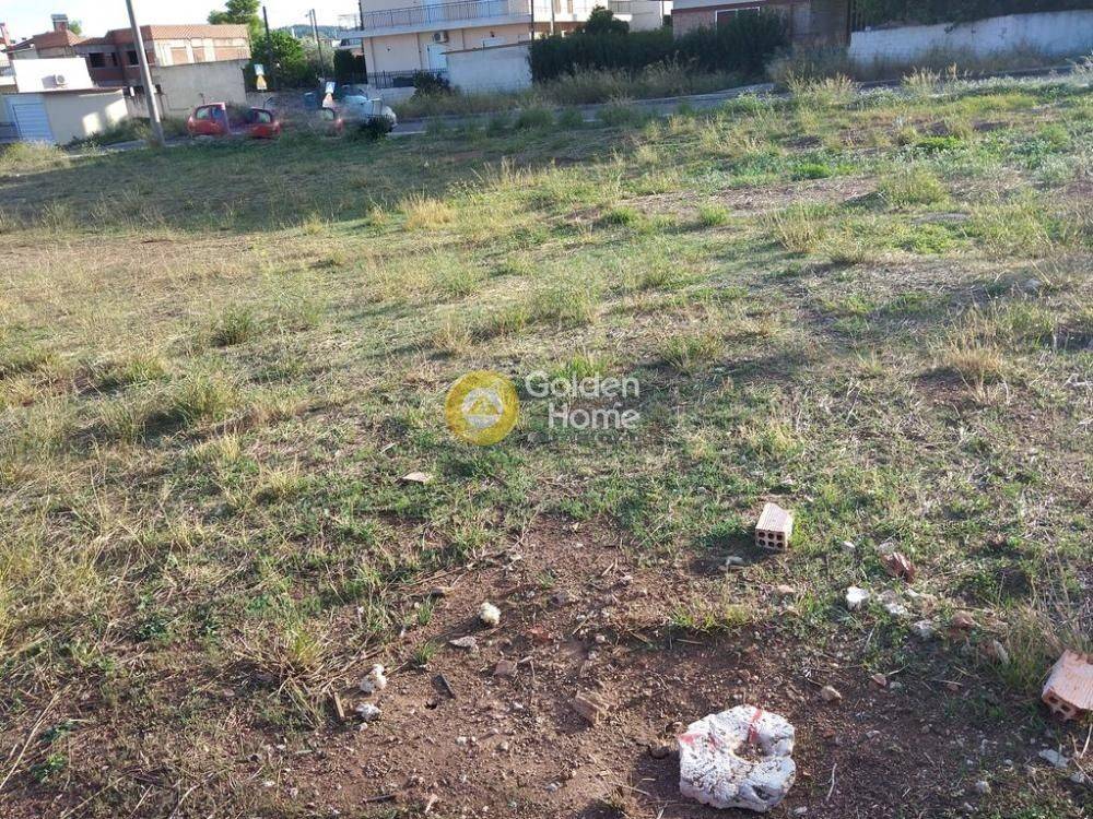 Κυρίως Χώρος