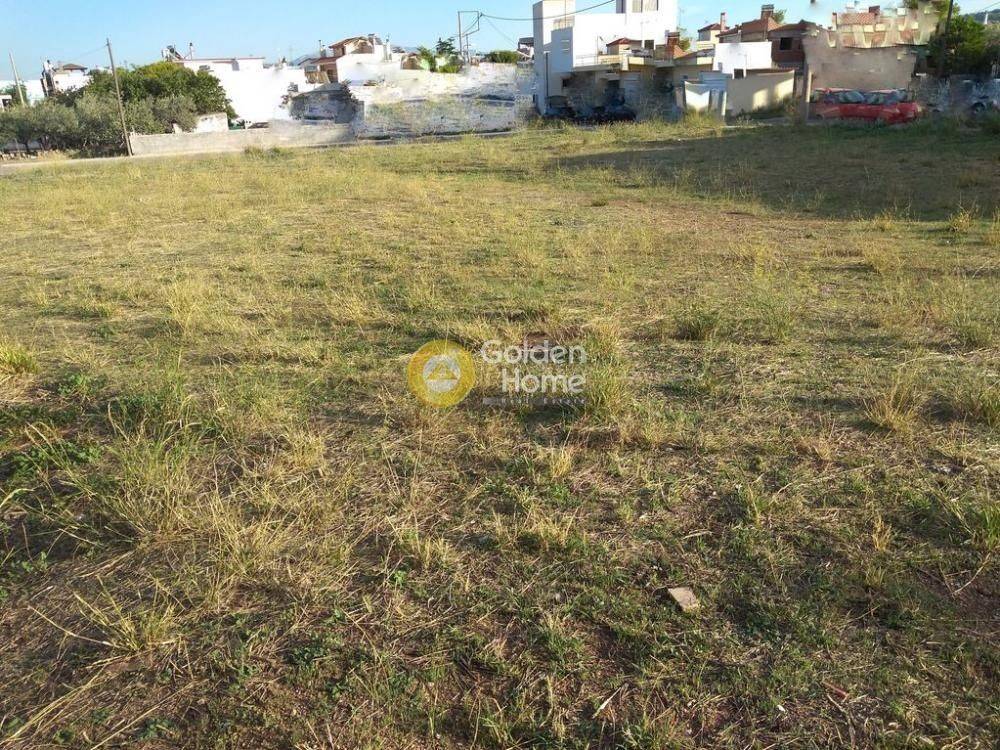 Κυρίως Χώρος