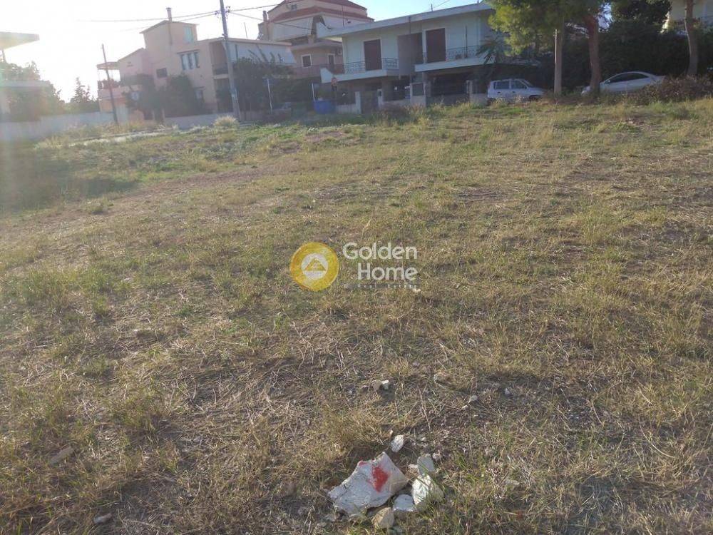 Κυρίως Χώρος