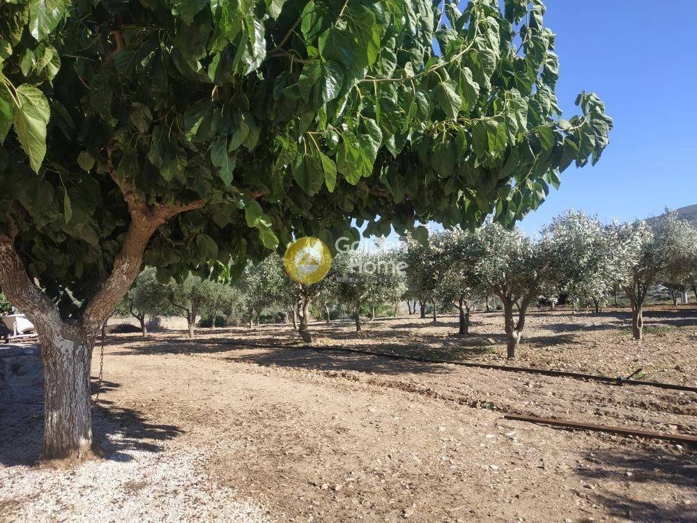 Εξωτερικός Χώρος