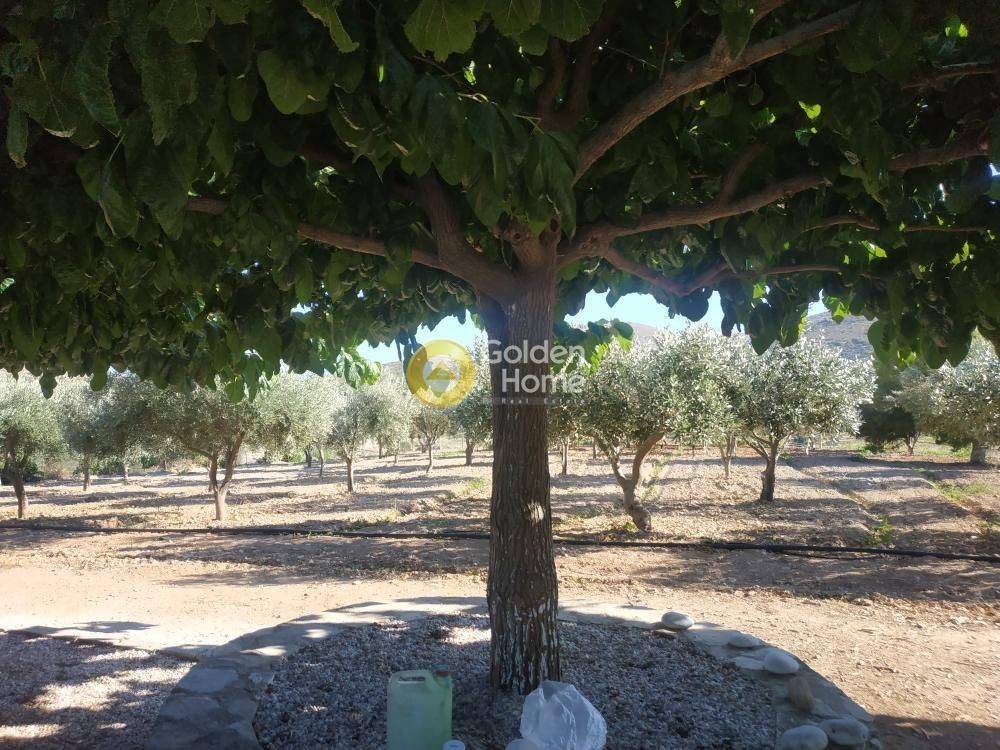 Εξωτερικός Χώρος