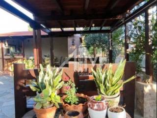 Ύπαρξη ανθρώπου