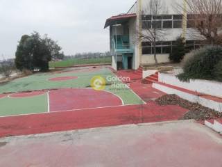 Ανελκυστήρας