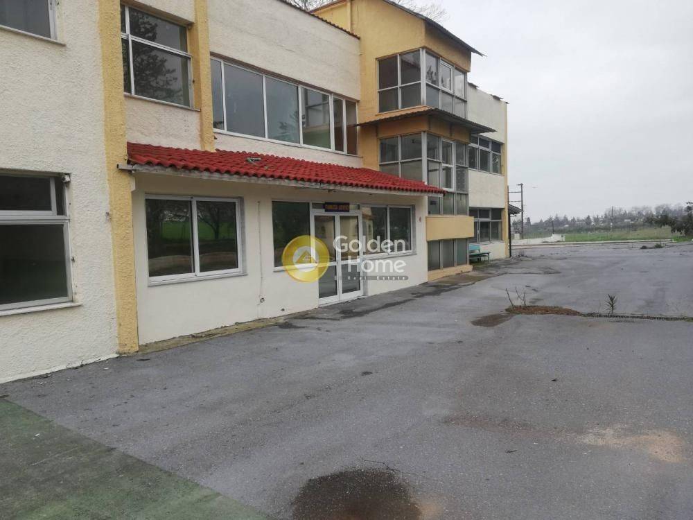 Ανελκυστήρας