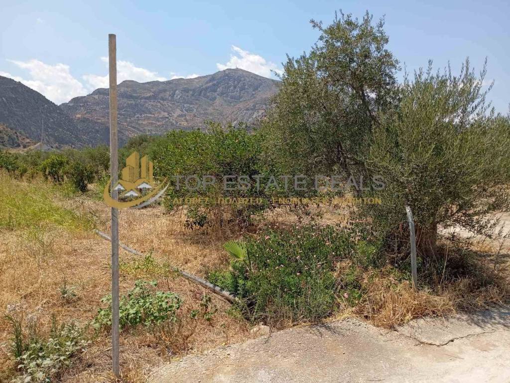 sta paloykia mesa to oikopedo