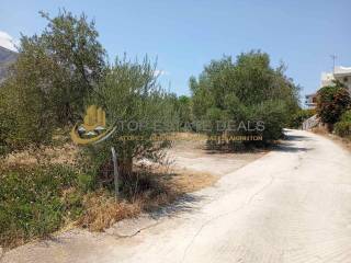 aristera toy dromoy to oikopedo