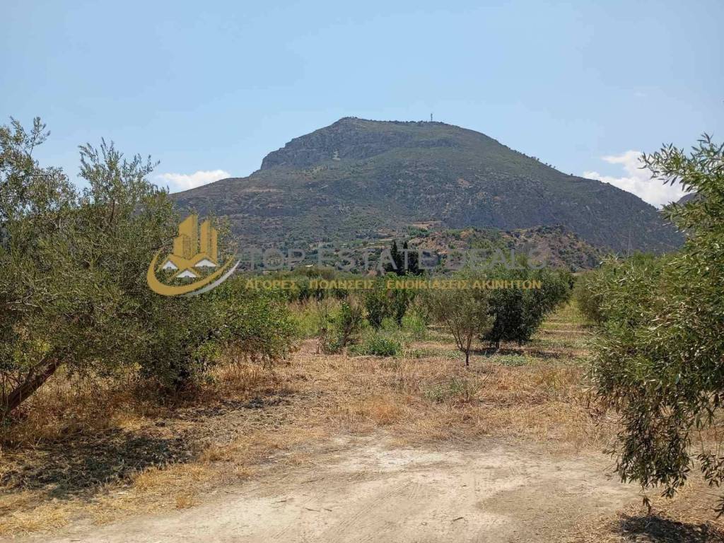 thea to boyno tes Panagias apo to oikopedo