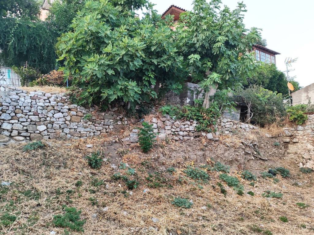 ARTIO KAI OIKOMESIMO