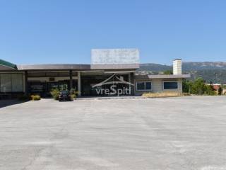 ΑΠΟΨΗ ΚΑΤΑΣΤΗΜΑΤΟΣ