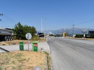 ΑΠΟΨΗ ΚΑΤΑΣΤΗΜΑΤΟΣ