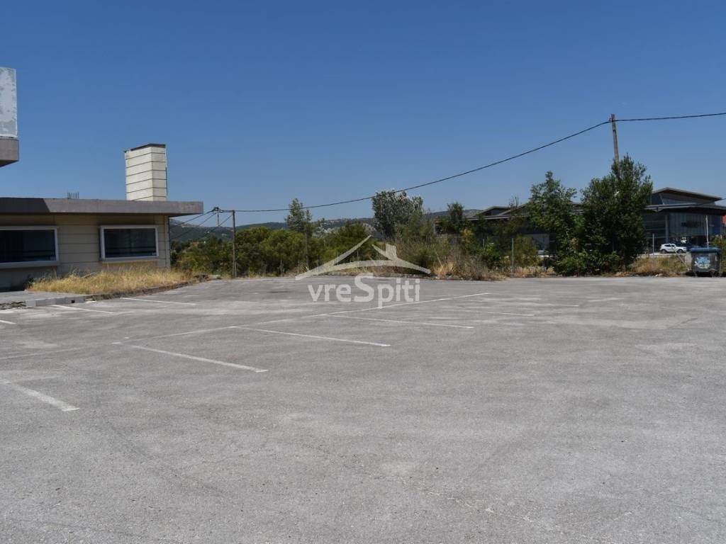 ΑΠΟΨΗ ΚΑΤΑΣΤΗΜΑΤΟΣ