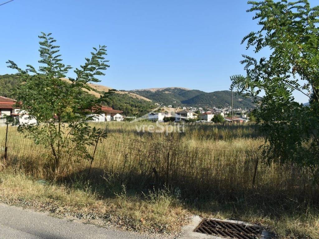 ΑΠΟΨΗ ΟΙΚΟΠΕΔΟΥ