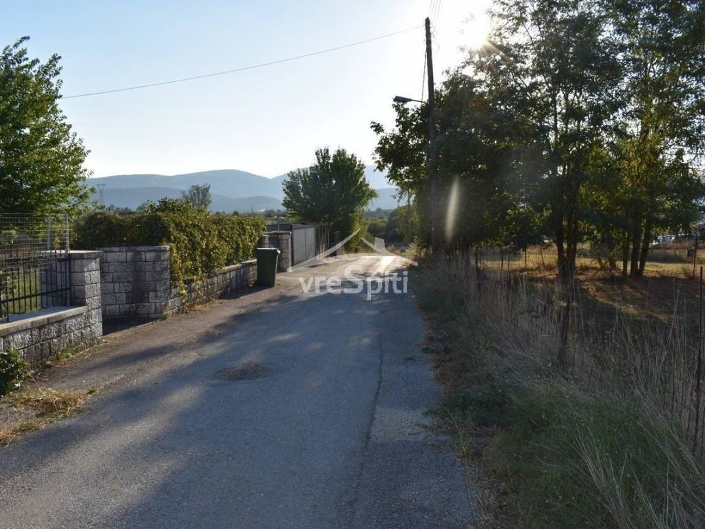 ΑΠΟΨΗ ΟΙΚΟΠΕΔΟΥ