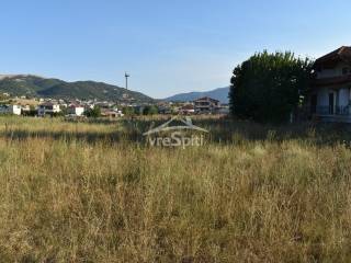 ΑΠΟΨΗ ΟΙΚΟΠΕΔΟΥ