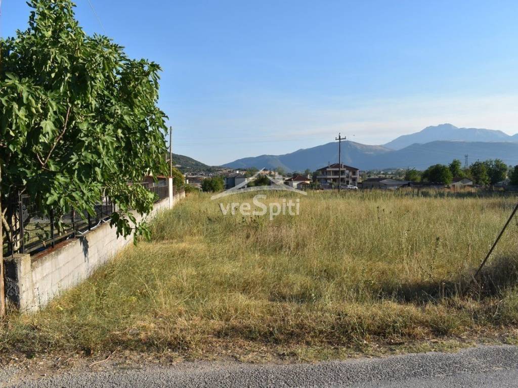 ΑΠΟΨΗ ΟΙΚΟΠΕΔΟΥ