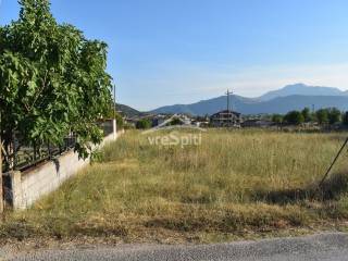 ΑΠΟΨΗ ΟΙΚΟΠΕΔΟΥ