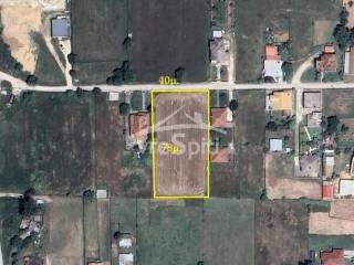 ΣΧΗΜΑ ΟΙΚΟΠΕΔΟΥ