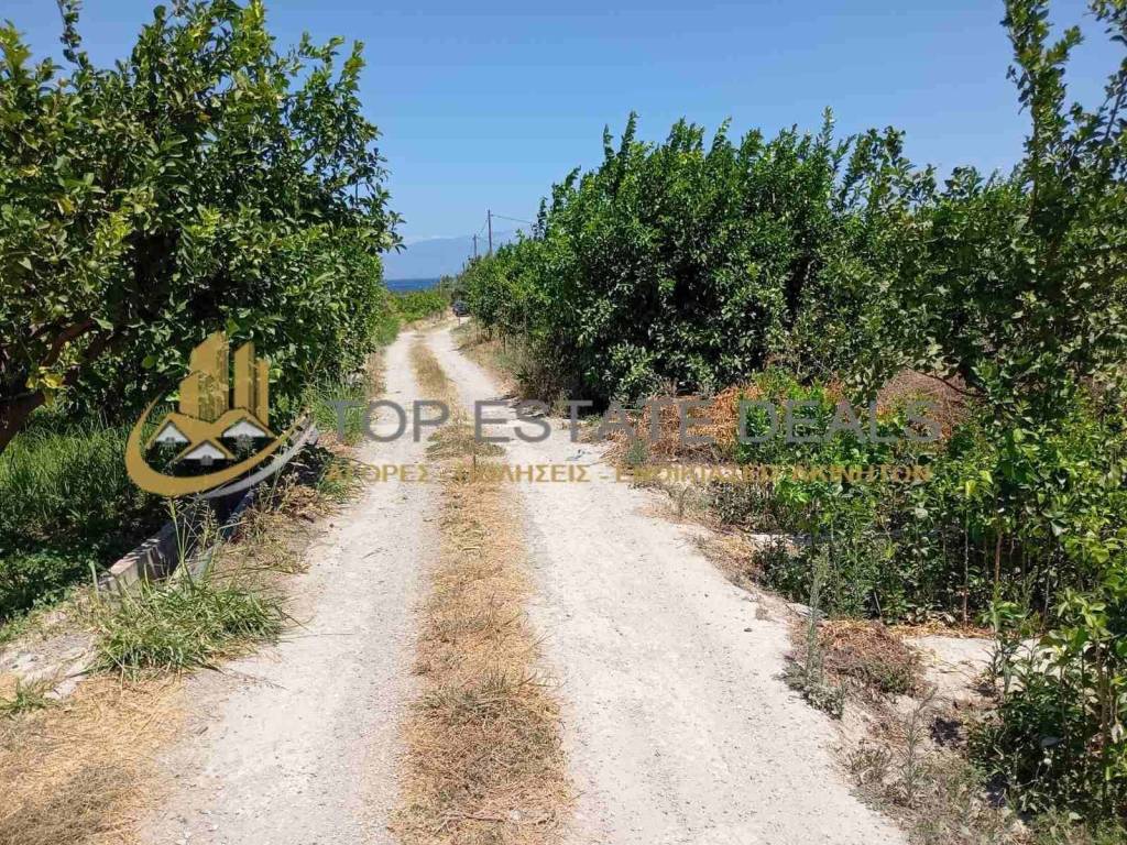 δρόμος από την θάλασσα προς το αγροτεμάχιο