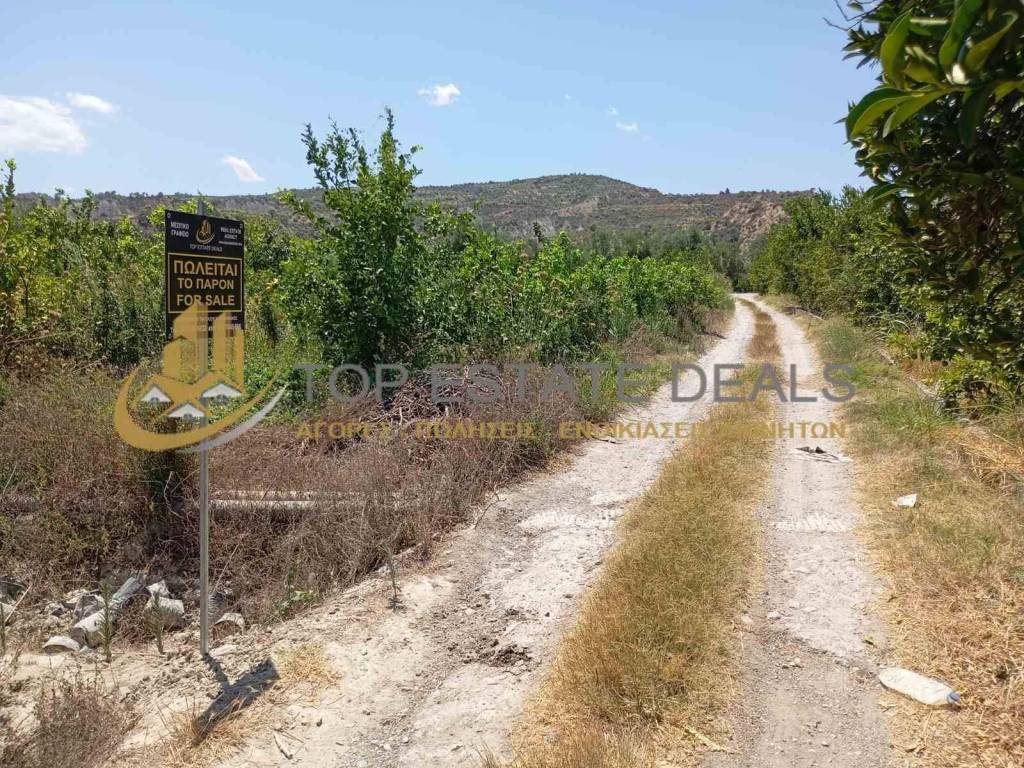 στα αριστερά του δρόμου το αγροτεμάχιο