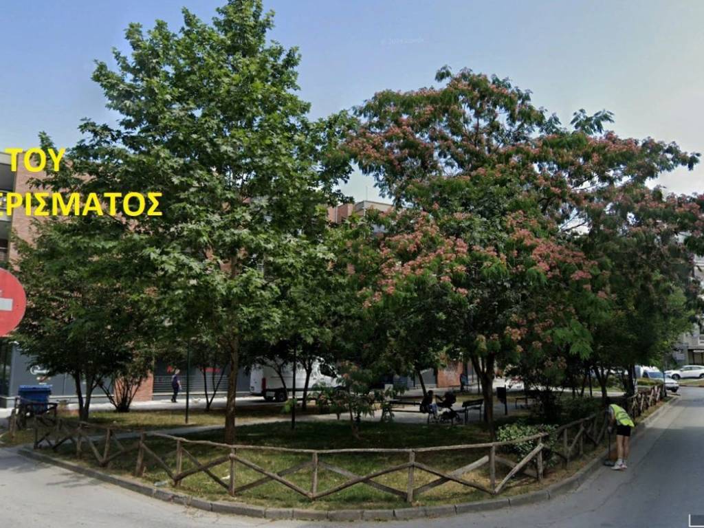 THEA TOY  DIAMERISMATOS