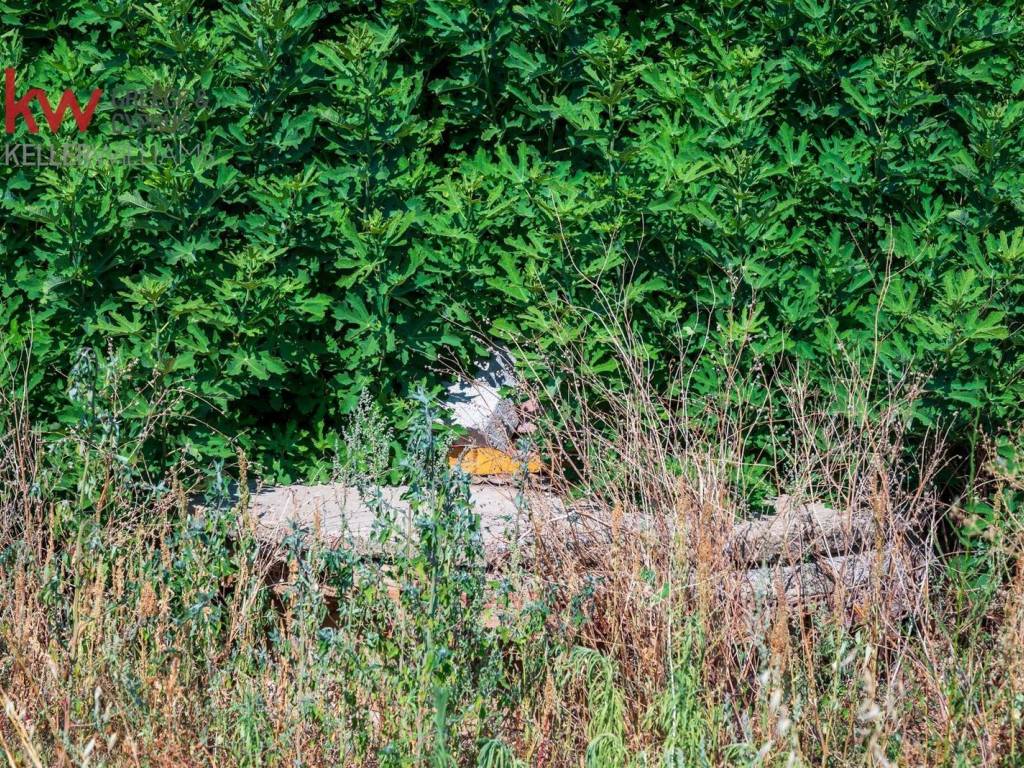Εξωτερικοι χώροι