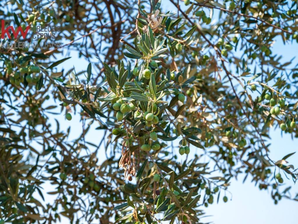 Εξωτερικοι χώροι