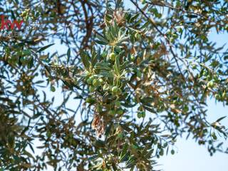 Εξωτερικοι χώροι