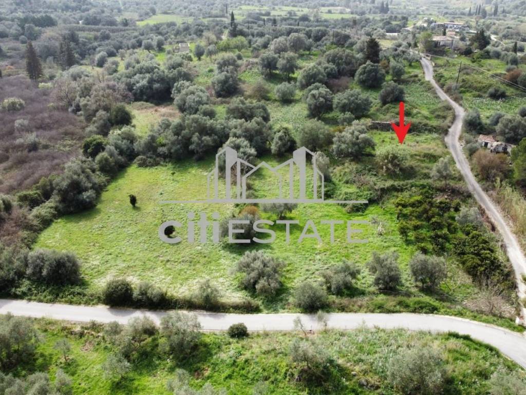 Εξωτερικοι χώροι