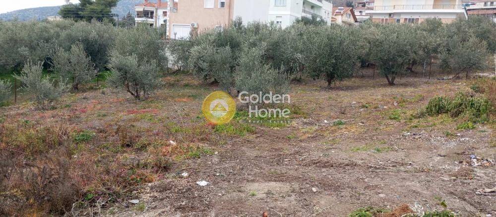 Κυρίως Χώρος