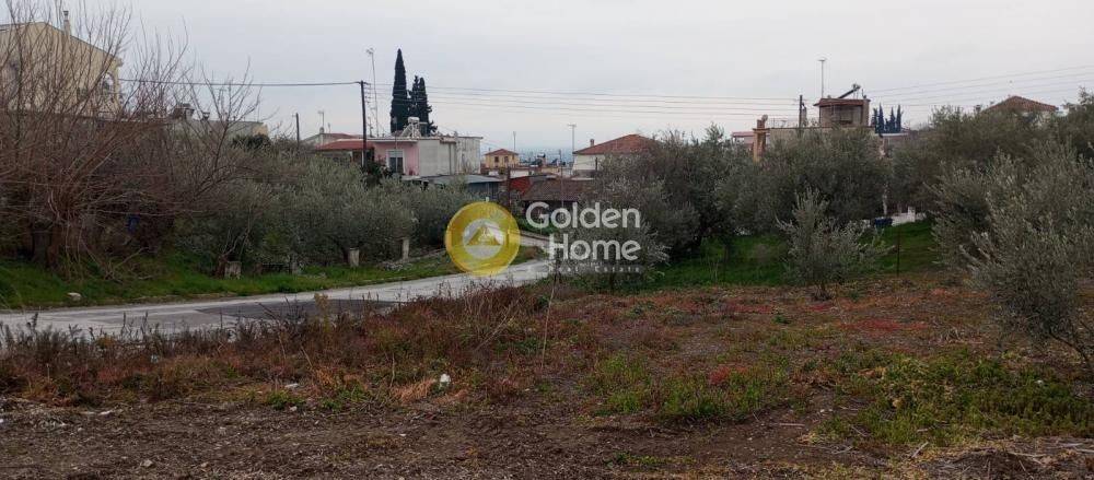 Κυρίως Χώρος