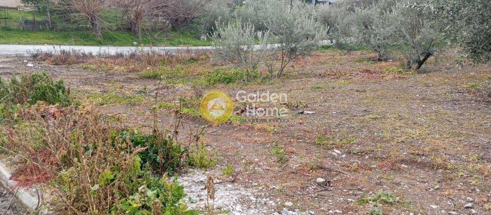 Κυρίως Χώρος