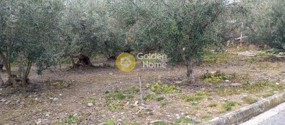 Κυρίως Χώρος