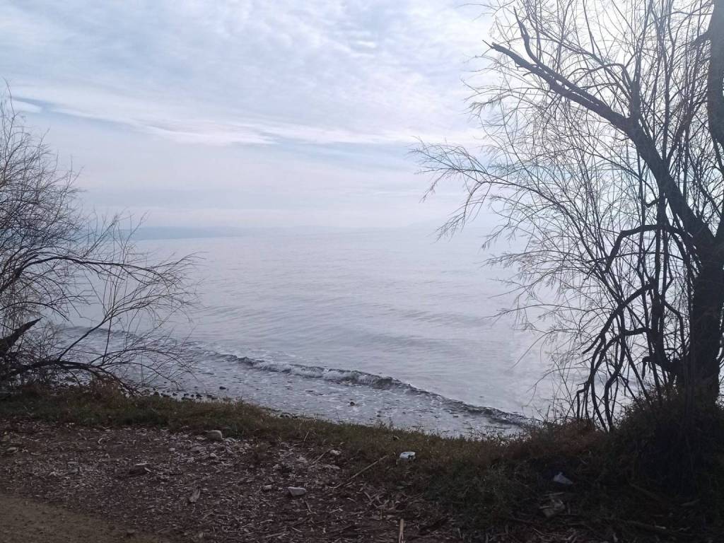 ΠΑΡΑΛΙΑ-ΦΑΤΣΑ