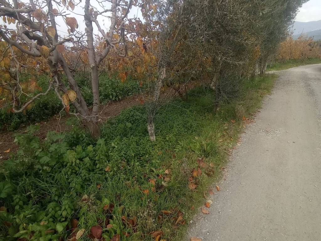 ΔΡΟΜΟΣ-ΠΛΑΙ