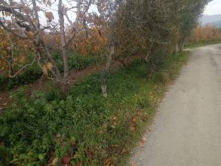 ΔΡΟΜΟΣ-ΠΛΑΙ