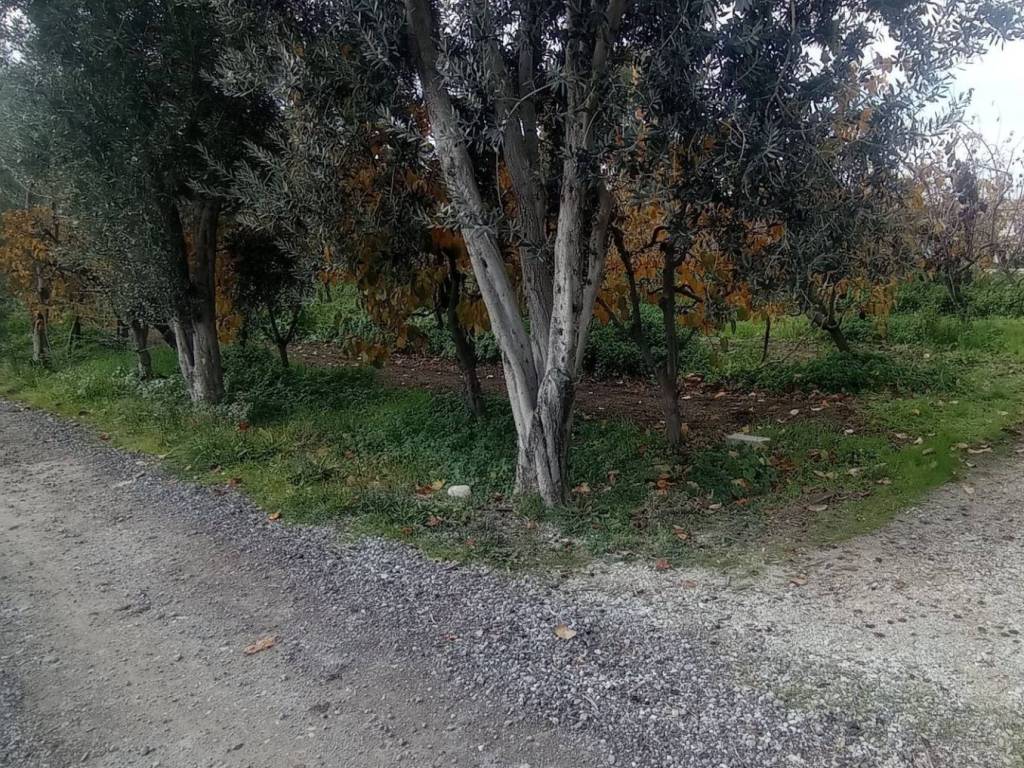 ΔΡΟΜΟΙ ΚΤΗΜΑΤΟΣ