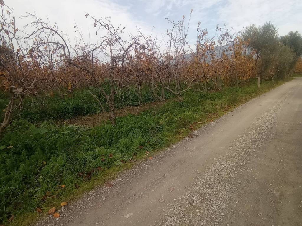 ΔΡΟΜΟΣ-ΠΛΑΙ