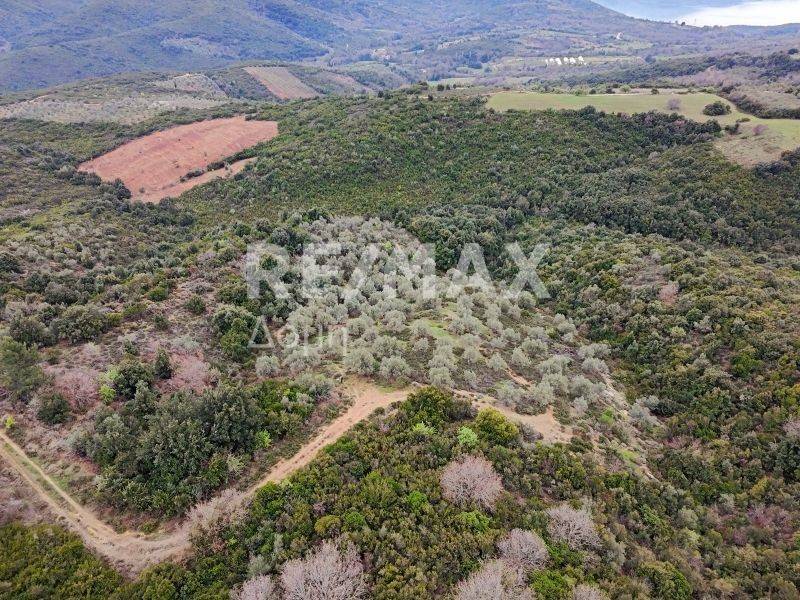 Αεροφωτογραφία