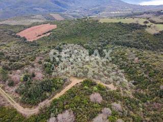 Αεροφωτογραφία
