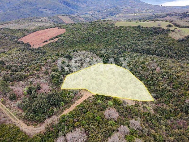 Αεροφωτογραφία