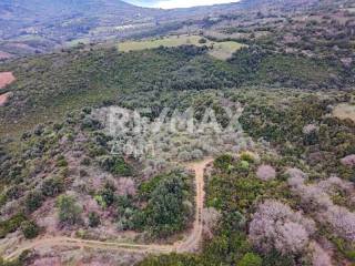 Αεροφωτογραφία